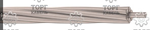 � 560