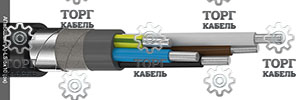 ��������(A)-LS 2�50
